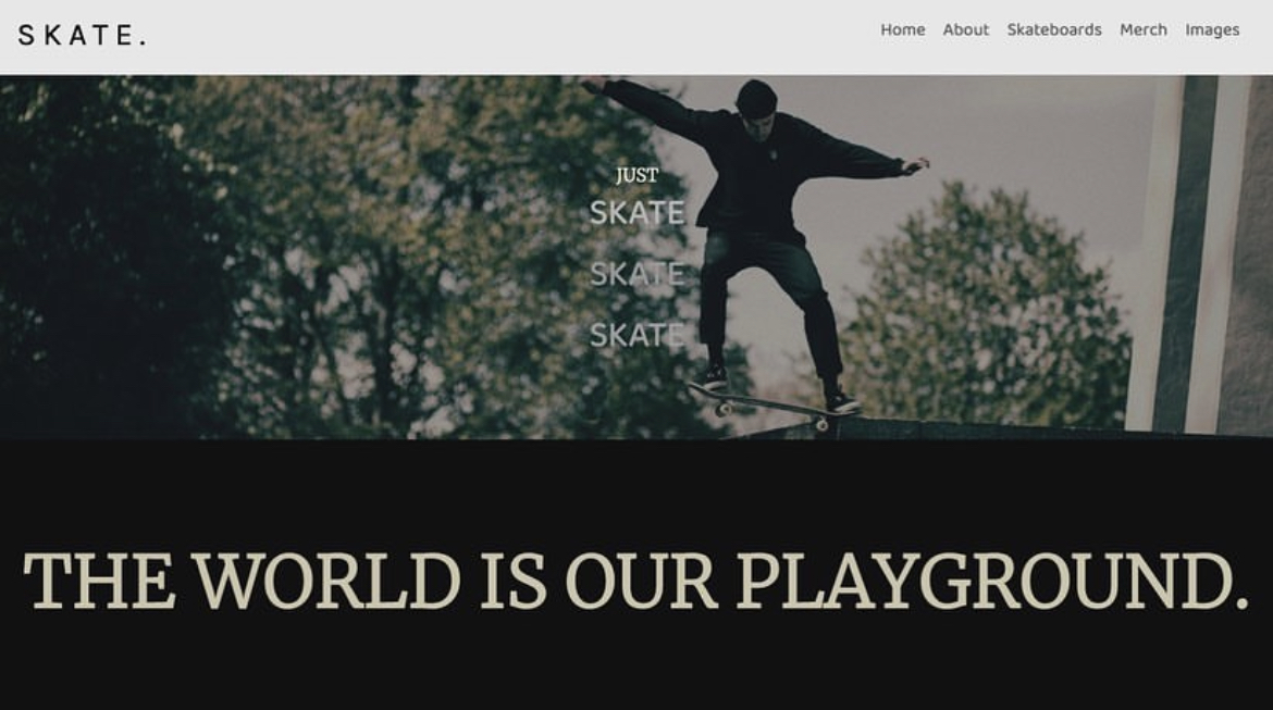 tailor-made website of a skate shop